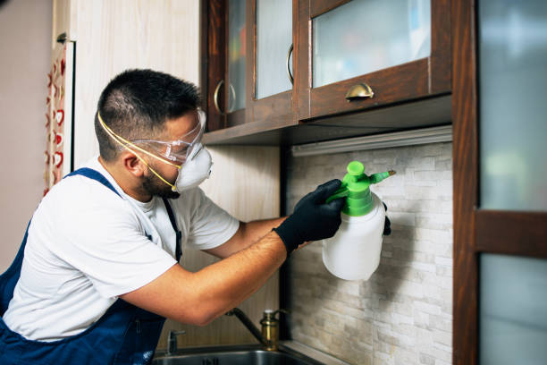 Best Pest Prevention Services  in Lake Placid, NY