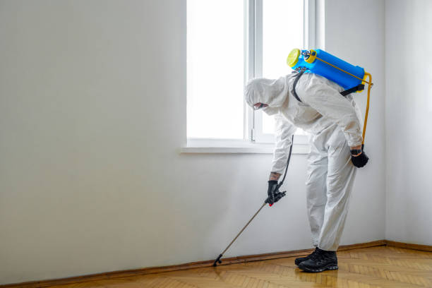 Best Best Pest Control Companies  in Lake Placid, NY