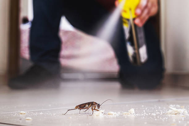 Best Cockroach Control Services  in Lake Placid, NY