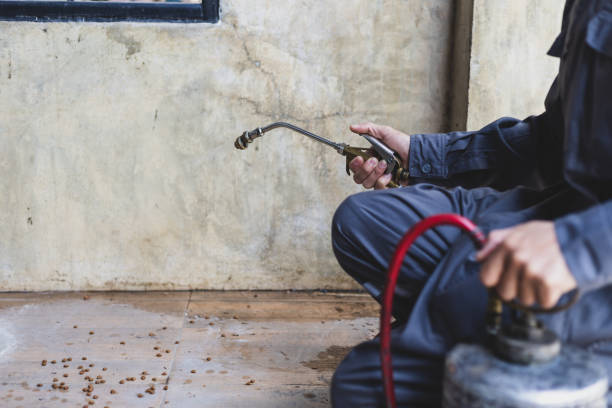 Best Affordable Pest Control Services  in Lake Placid, NY